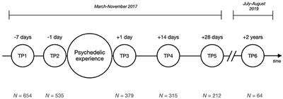 Sustained, Multifaceted Improvements in Mental Well-Being Following Psychedelic Experiences in a Prospective Opportunity Sample